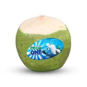 نارگیل سبز ساده اقتصادی