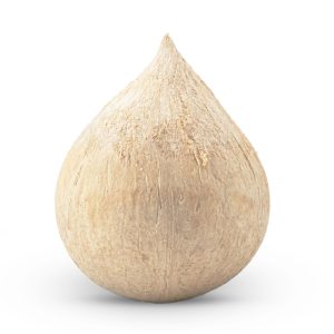 کوکووان پریمیوم نارگیل سبز لاکچری پریمیوم